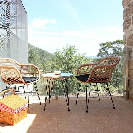 Country house Quinta De Sao Pedro Barro (Vila Real)