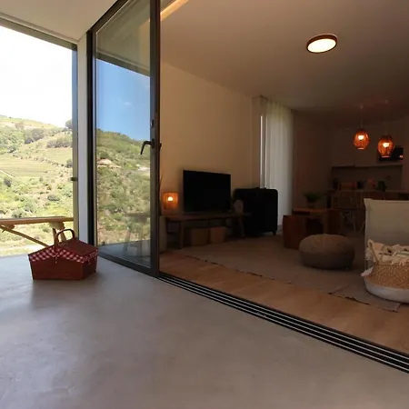 Quinta De Sao Pedro Landhuis Resende