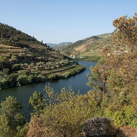 Quinta De Sao Pedro Barro (Vila Real)