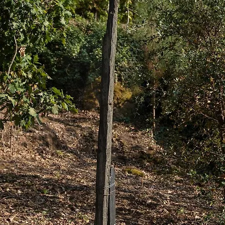 Hétvégi ház Quinta De Sao Pedro