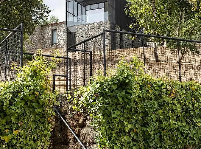 Casa de Campo Quinta De São Pedro