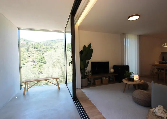 Landhuis Quinta De Sao Pedro Resende