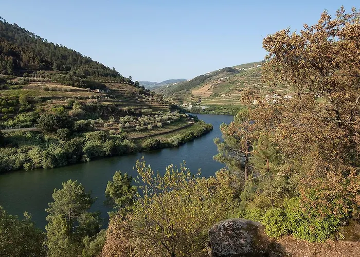 Quinta De São Pedro Resende