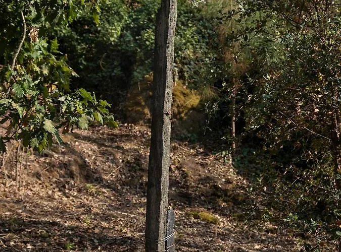 Landhuis Quinta De Sao Pedro