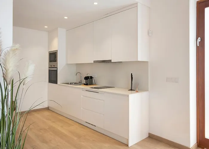 Casa de Campo Quinta De São Pedro